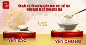 yen-sao-va-yen-chung-khac-nhau-nhu-the-nao-0