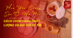 mua-yen-chung-san-o-ha-noi-0