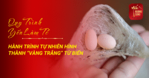 quy-trinh-yen-lam-to-0