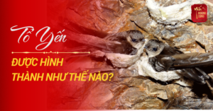 to-yen-duoc-hinh-thanh-nhu-the-nao-0